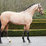 QUELLE COULEUR 1.jpg