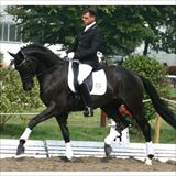 WH ASTON MARTIN 1.jfif