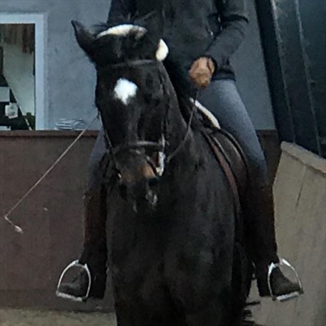 SOUVERÄN'S PARADE