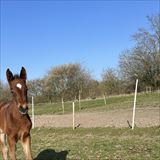 IMG_4448.jpeg