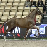 2L3A5736.jpg