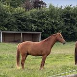 IMG_6538.jpeg