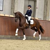 BLUE HORS BONFILIO.jpg