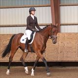 TD Hector trav 2.jpg