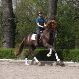 SAN TIL ALATI 1.jfif