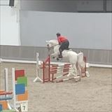 IMG_20251126_163856.jpg