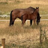 IMG_6730.jpeg