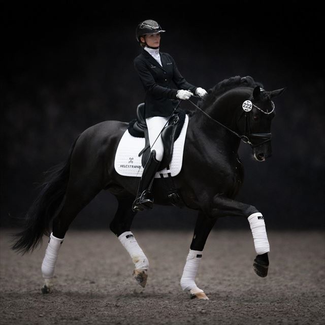 SÉNÉGAL DE FONTAINE