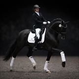 SÉNÉGAL DE FONTAINE