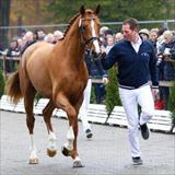 WH Calandor 2.jpg