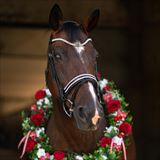 DSC00291-Edit.JPG