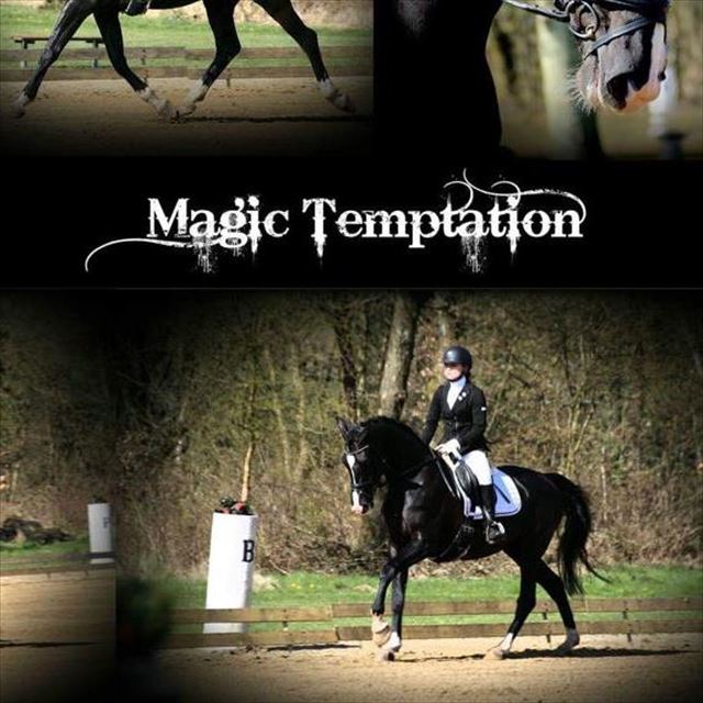 Magic Temptation