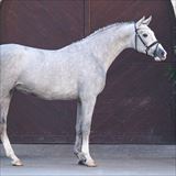 Arezzo Man 1.jpg
