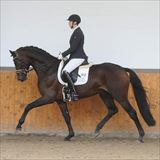 Blue Hors Luton.jpg