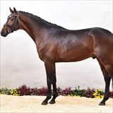 Blue Hors Luton 2.jpg