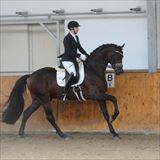 Blue Hors Luton 1.jpg