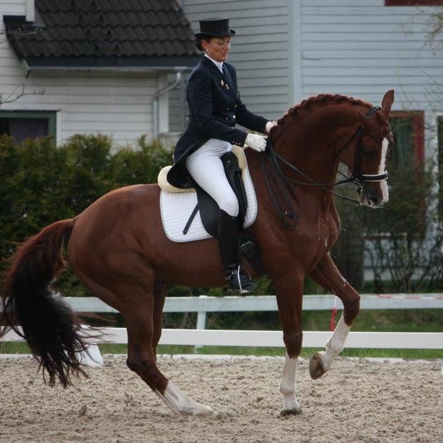ROYAL OLYMP