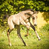IMG_4085.jpeg