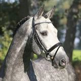 HICKSTEAD WHITE 1.jpg