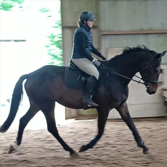 LANGESKOVS VINCENT