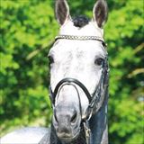 WH Casino Berlin OLD .jpg