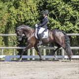 2L3A8951 HP Finest Hour.jpg