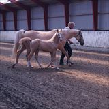 DSC04617.JPG