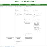 FAMILY OF FURIOSO XX 1 (2).jpg