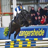 WH Querido VG Z 4.jpg