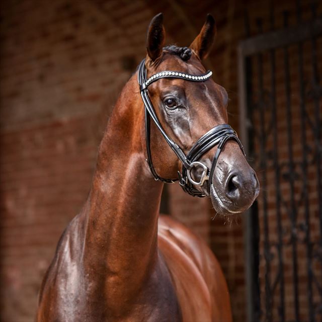 D’ASTI