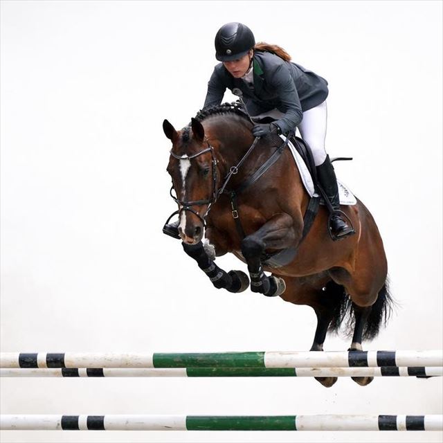 Årets Hingst i Dansk Varmblod 2026