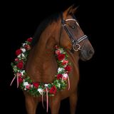 DSC00705-Edit.JPG