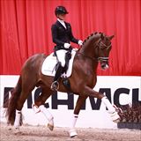 BLUE HORS VIVA VEGAS