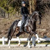Gaitano 5.jpg