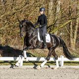 Gaitano 1.jpg