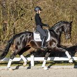 Gaitano 3.jpg