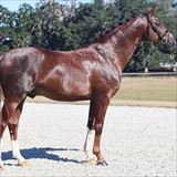 LORDSWOOD BERNSTEIN SL 1.jpg