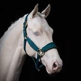 WANDERER OF LOVE 3.jpg