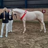 WANDERER OF LOVE 5.jpg