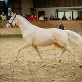 WANDERER OF LOVE 6.jpg