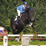 WH DOMINATOR Z 1.jpg