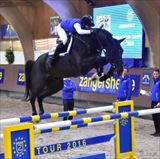 WH DOMINATOR Z 2.jpg