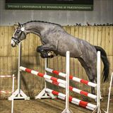 0C5A1444 FONTARNEY.jpg