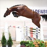 WH CASINO RUBIN 2.jpg