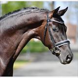 Mister Universe 1.jpg