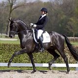 WH Astrix 5.jpg