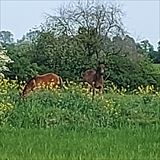 20210604_173156.jpg