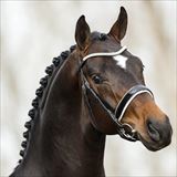 MISTER DIAMOND 2.jpg