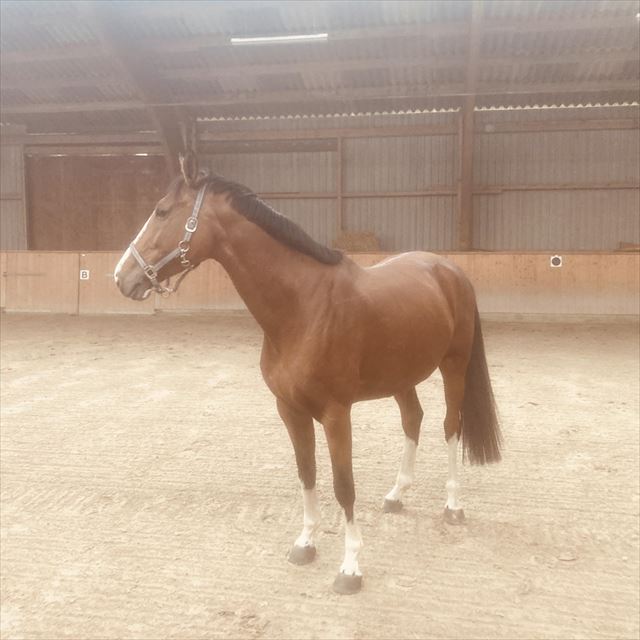 LADY MILLION