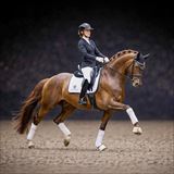 ATTERUPGAARDS BERNACHI